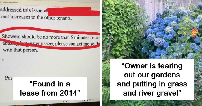 64 Rental Nightmares Where Landlords Tried To Cut Corners And Got Exposed