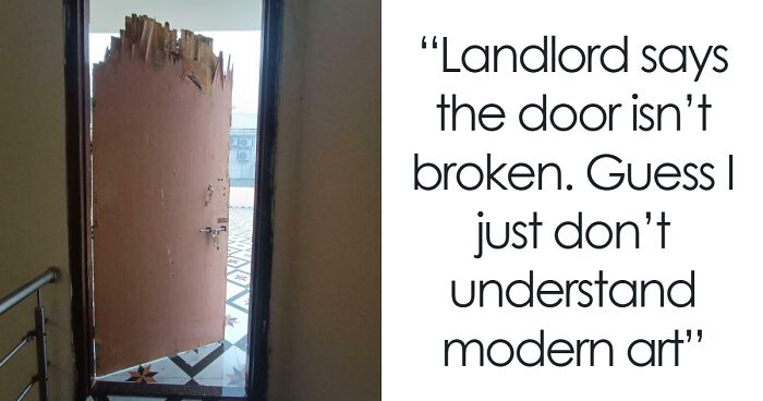 64 Rental Nightmares Where Landlords Tried To Cut Corners And Got Exposed