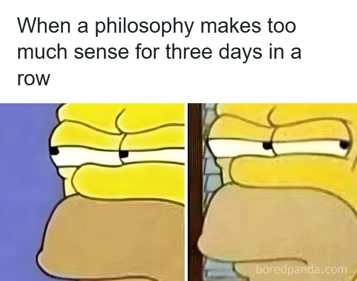 Close-up of a skeptical cartoon character’s face in an intellectual philosophy memes format about deep thinking.