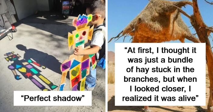 This Group Is Dedicated To All Things Interesting, And Here Are 80 Of Their Best Posts