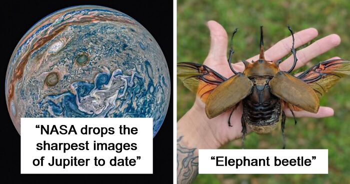 This Group Is Dedicated To All Things Interesting, And Here Are 80 Of Their Best Posts