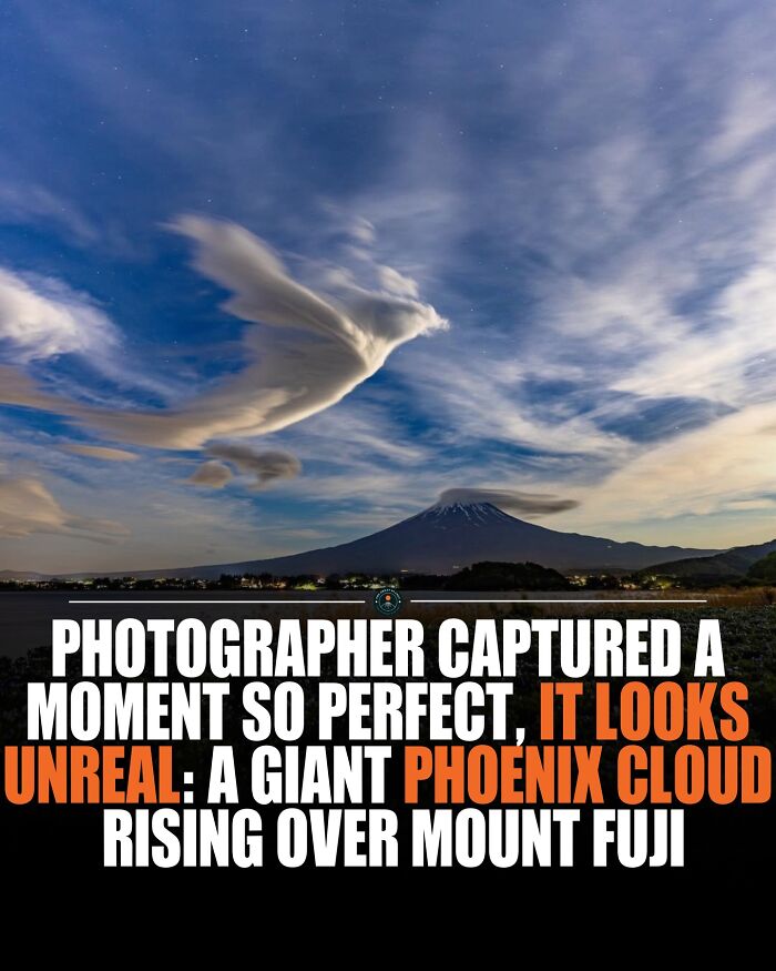 Phoenix cloud over Mount Fuji at sunset, a stunning natural phenomenon for new knowledge and facts about the world.