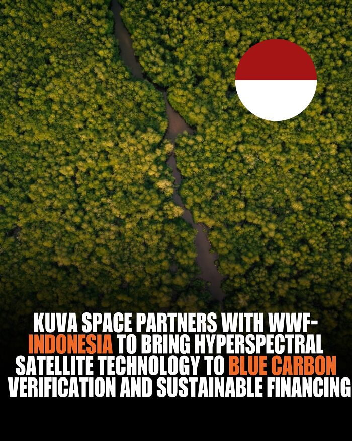 Aerial view of dense green forest with a river, highlighting new knowledge and facts about the world and environment.