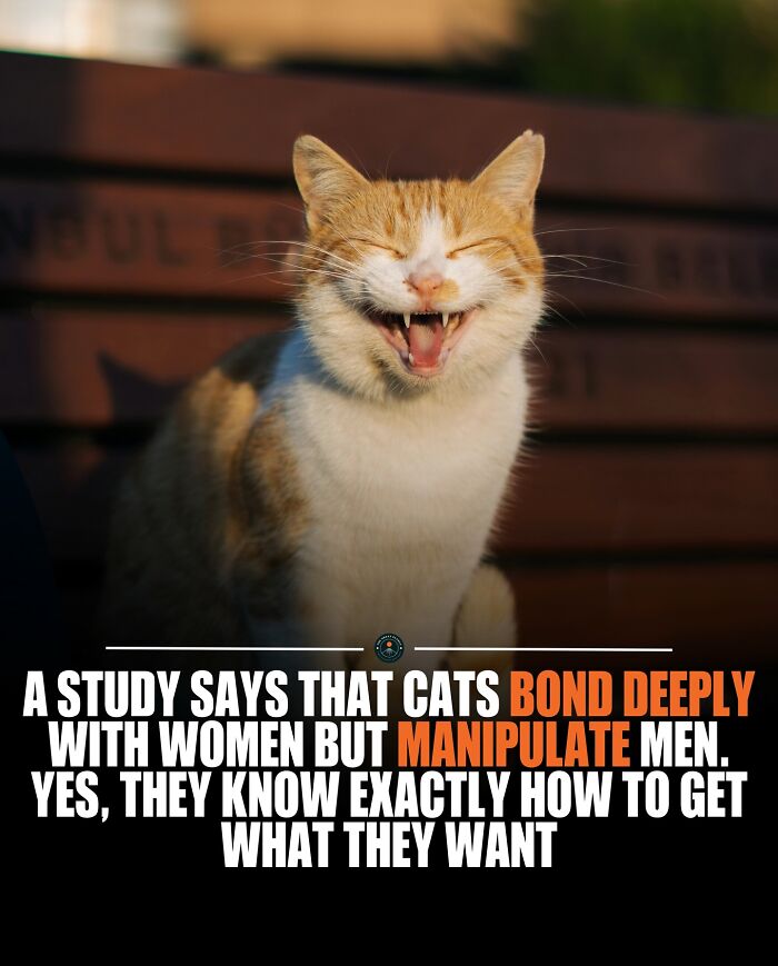 Smiling cat demonstrating unique bonding and manipulation behaviors, offering intriguing facts about the world and new knowledge.