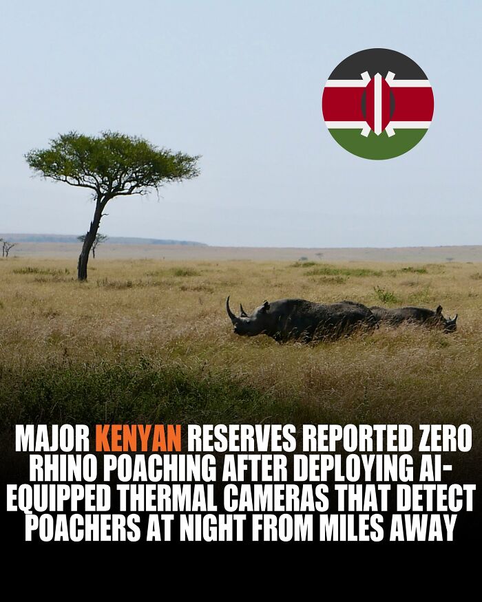 Rhino in Kenyan reserve with AI thermal cameras deployed to stop poaching, sharing new knowledge and world facts. Rhino in Kenyan reserve with AI thermal cameras deployed to stop poaching, sharing new knowledge and world facts.