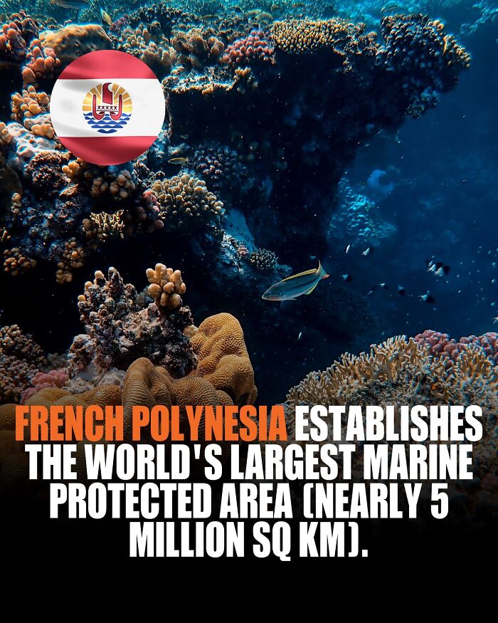 Underwater coral reef with fish near French Polynesia, highlighting the world's largest marine protected area facts.