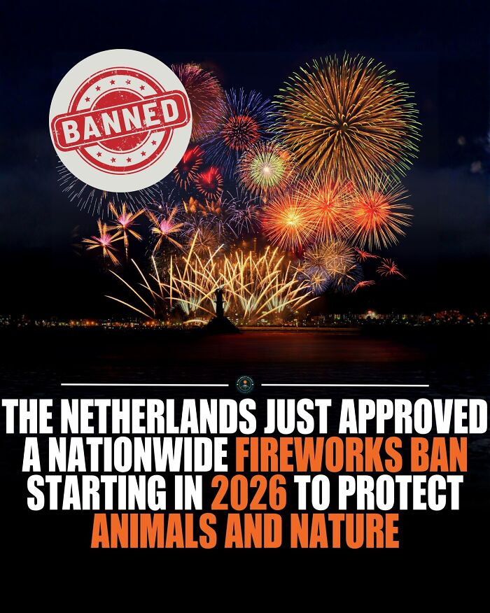 Fireworks display over water with a banned stamp, highlighting a 2026 nationwide fireworks ban in the Netherlands. Fireworks display over water with a banned stamp, highlighting a 2026 nationwide fireworks ban in the Netherlands.
