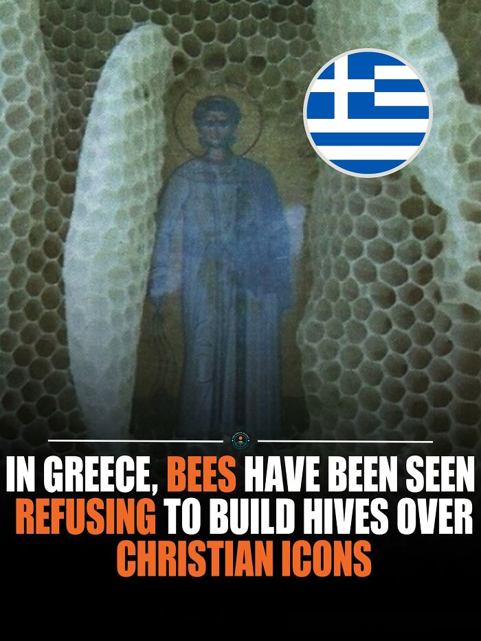 Close-up of bees refusing to build hives over a Christian icon in Greece, highlighting interesting world knowledge and facts.