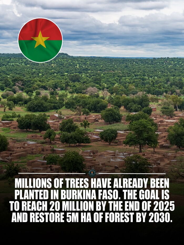 Aerial view of trees planted in Burkina Faso aiming to restore forests, new knowledge and facts about the world.