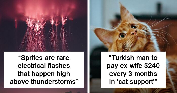 60 Fascinating Facts That Might Teach You Something New About Our World