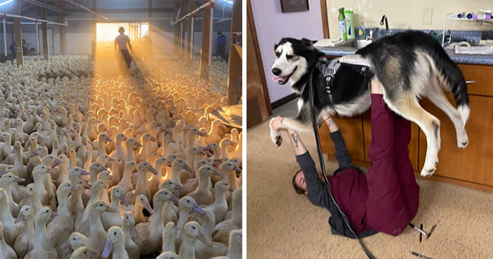 74 Fascinating Photos From People’s Different Jobs That Make A 9-To-5 Look More Bearable (New Pics)