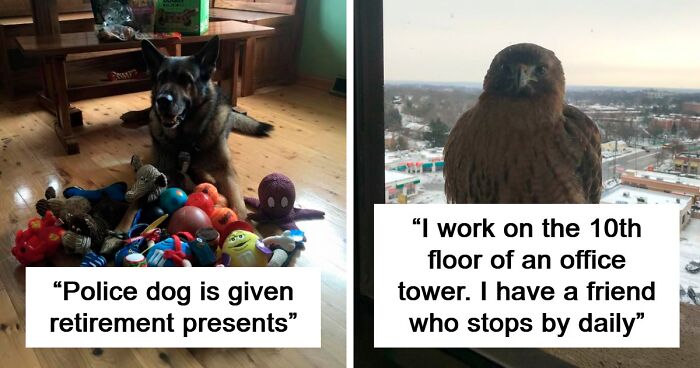 74 Fascinating Behind-The-Scenes Photos People Took At Work That Were Too Good Not To Share (New Pics)