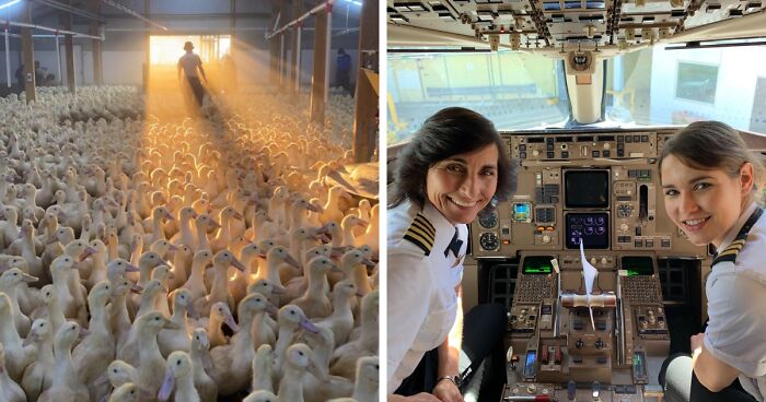 74 Fascinating Photos From People’s Different Jobs That Make A 9-To-5 Look More Bearable (New Pics)