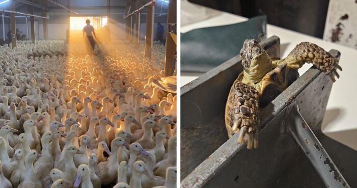 74 Fascinating Photos From People’s Different Jobs That Make A 9-To-5 Look More Bearable (New Pics)