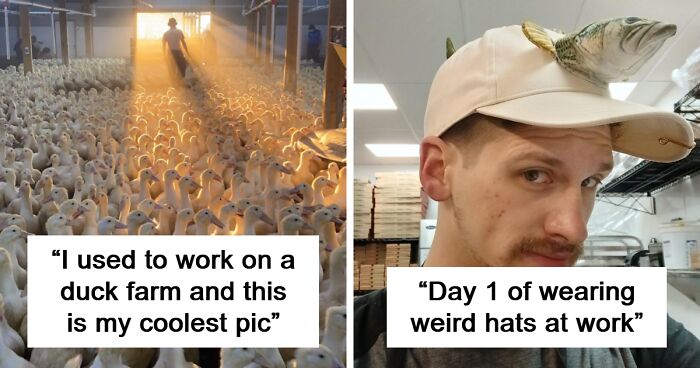 74 Fascinating Photos From People’s Different Jobs That Make A 9-To-5 Look More Bearable (New Pics)