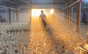 60 Fascinating Behind-The-Scenes Photos People Took At Work That Were Too Good Not To Share (New Pics)