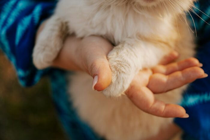 44 Of The Most Satisfying Instant Karma Manifestations People Have Ever Witnessed