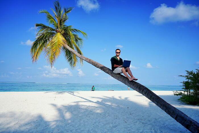 Man working on a laptop while sitting on a palm tree, showing the digital nomad lifestyle on a tropical beach.