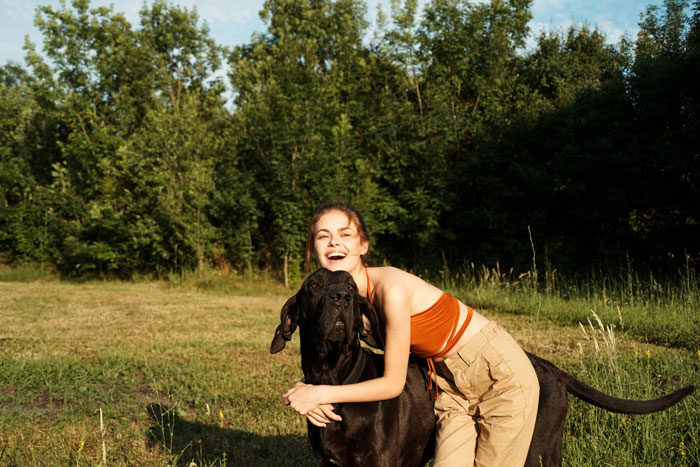 Young woman hugging a large black dog outdoors on a sunny day near a forest, showing mil house Christmas dog joy. Young woman hugging a large black dog outdoors on a sunny day near a forest, showing mil house Christmas dog joy.