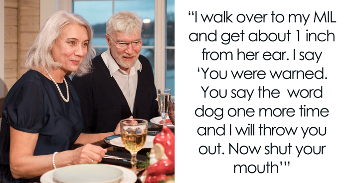 Toxic MIL Smirks While Poking At Grieving Kid Over Her Lost Dog On Christmas, Dad Blows Up At Her