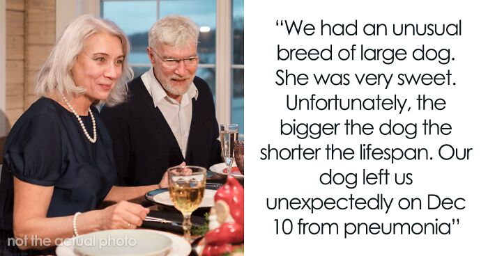 Toxic MIL Smirks While Poking At Grieving Kid Over Her Lost Dog On Christmas, Dad Blows Up At Her