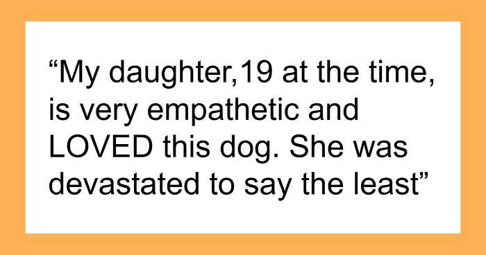 Toxic MIL Smirks While Poking At Grieving Kid Over Her Lost Dog On Christmas, Dad Blows Up At Her