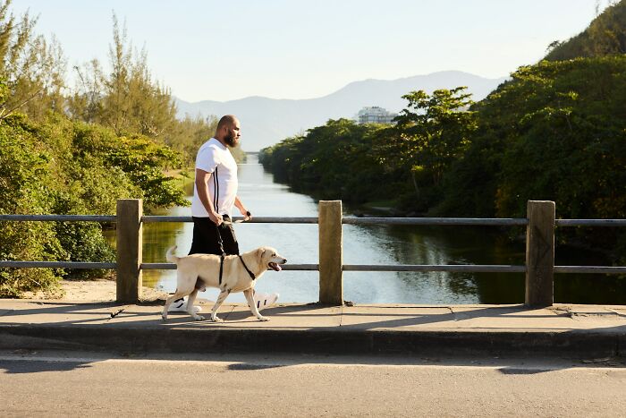 Man walking a dog on a bridge near a river, illustrating everyday things that can be more dangerous for your health.