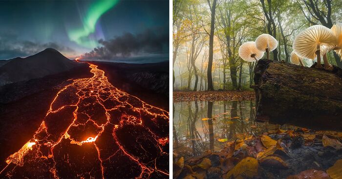 25 Award-Winning Nature Photos From The 2025 International Photo Awards