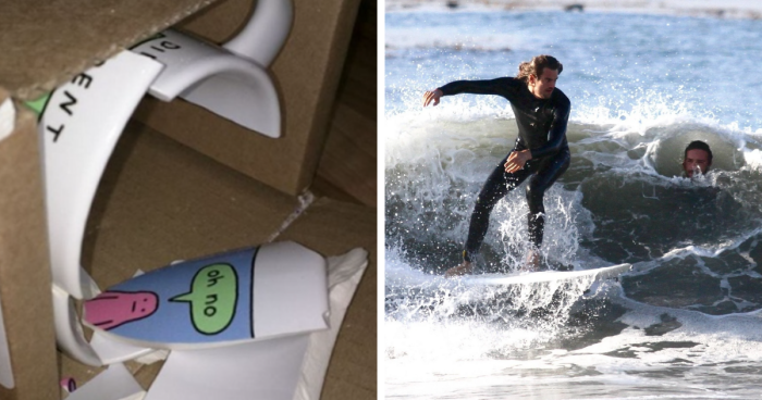 52 Photos That Show Things That Weren’t Supposed To Happen, According To The Odds (New Pics)