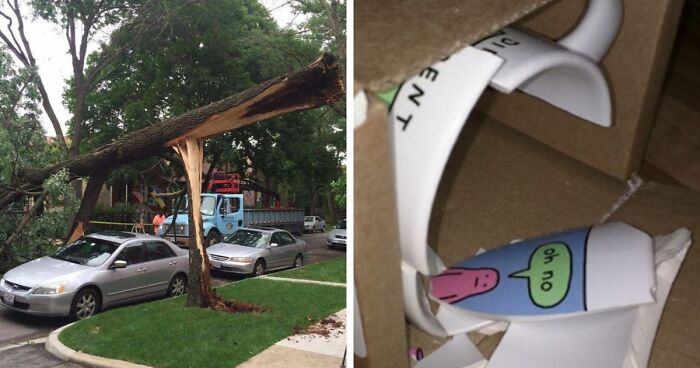 52 Photos That Show Things That Weren’t Supposed To Happen, According To The Odds (New Pics)