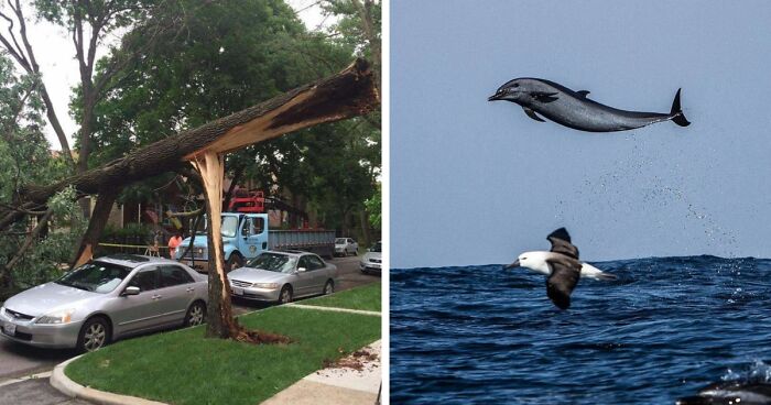 52 Coincidences That Are Too Wild To Be Real But They Are And People Took Photos (New Pics)