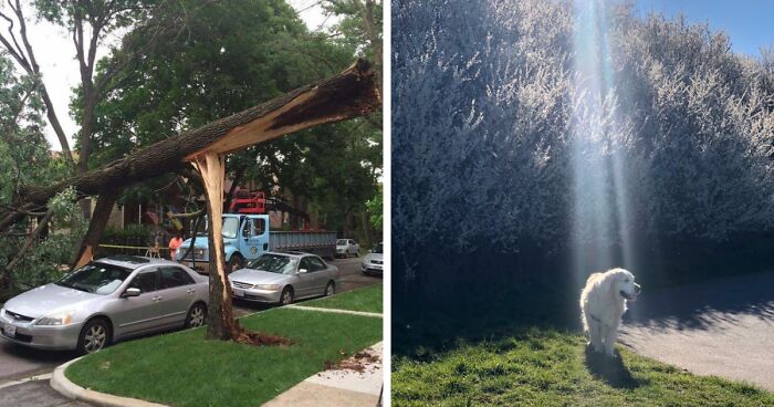 52 Coincidences That Are Too Wild To Be Real But They Are And People Took Photos (New Pics)