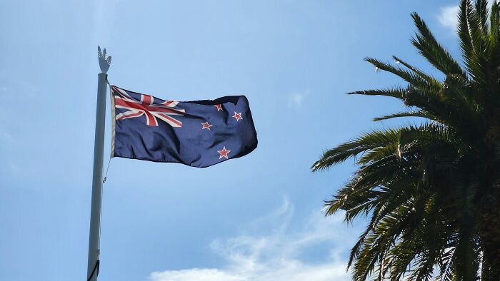 New Zealand flag waving against blue sky with palm tree, illustrating facts that sound made up but are true.