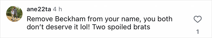Comment criticizing the Beckham family name, calling two individuals spoiled brats in a social media post.