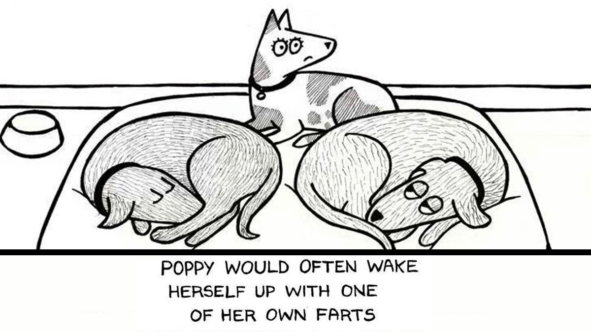Black and white comic showing three dogs on a bed, illustrating living with dogs in a humorous way.