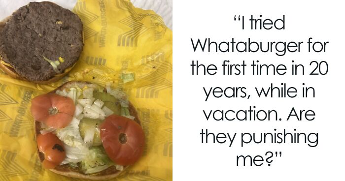 76 Outrageous Meals That Looked Nothing Like The Menu Photos (New Pics)