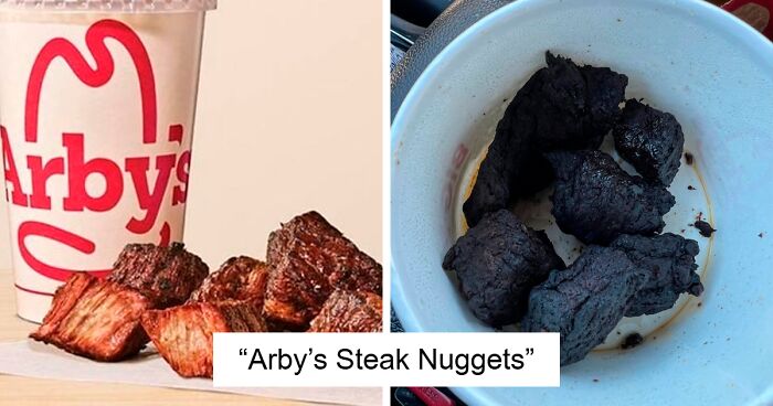76 Outrageous Meals That Looked Nothing Like The Menu Photos (New Pics)