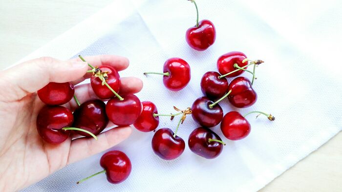 Hand holding fresh bright red cherries on white cloth background illustrating true stories that sound made up.