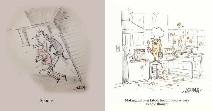 51 Graham Annable One Panel Comics That Start Normal And End Somewhere Unexpected