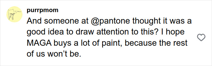 User comment on Pantone’s color choice sparking controversy and online backlash over alleged racism. User comment on Pantone’s color choice sparking controversy and online backlash over alleged racism.