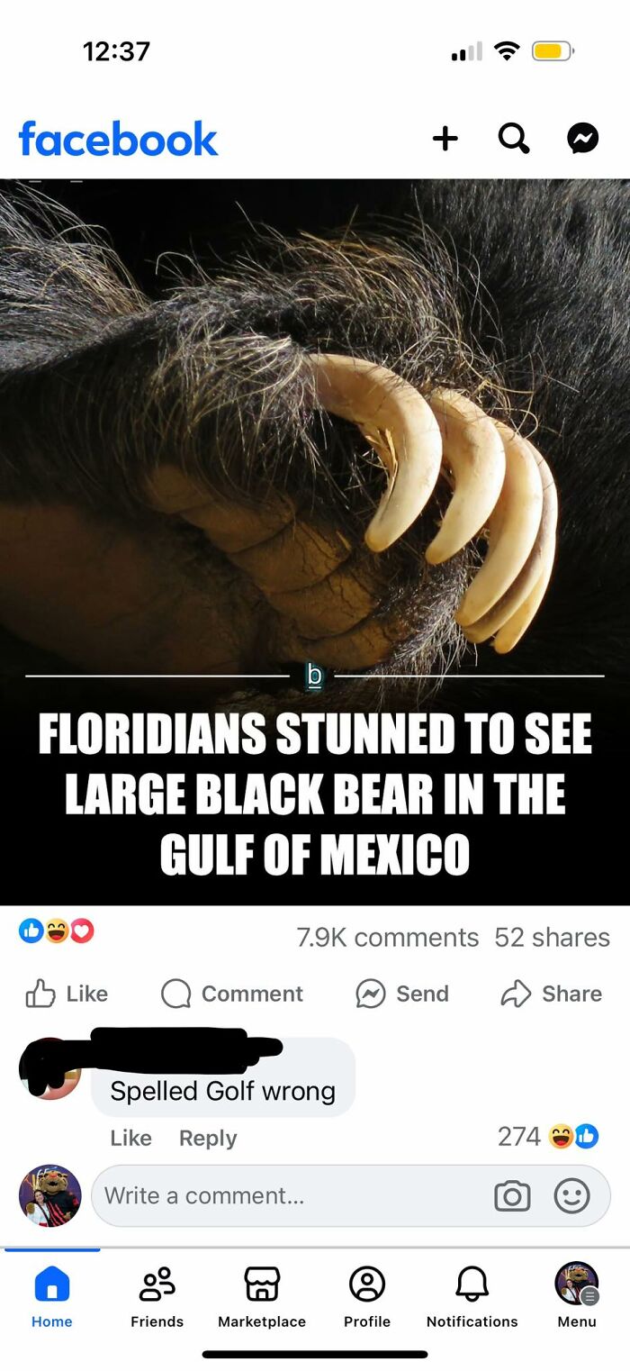 Close-up of large black bear claws with a humorous Facebook comment showing failed attempt to correct spelling.