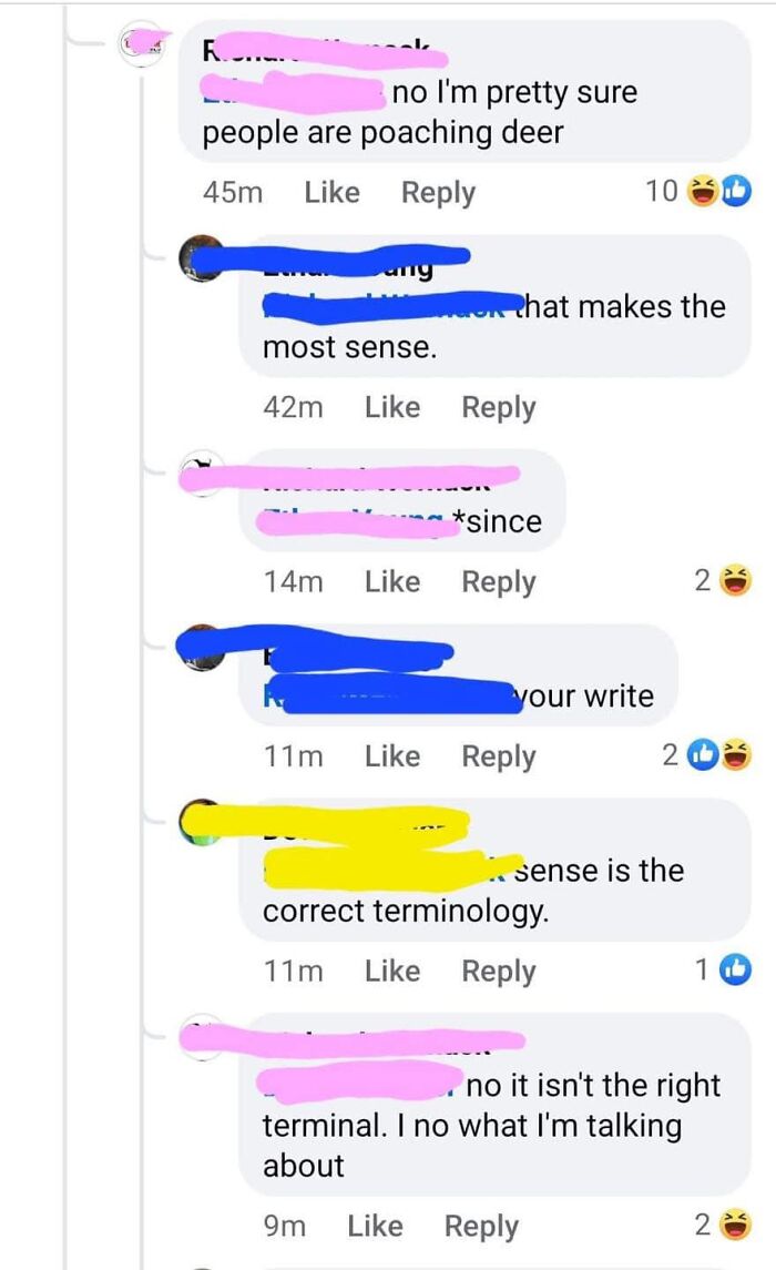 Social media comments showing humorous fails as people try to correct others and fail hilariously.