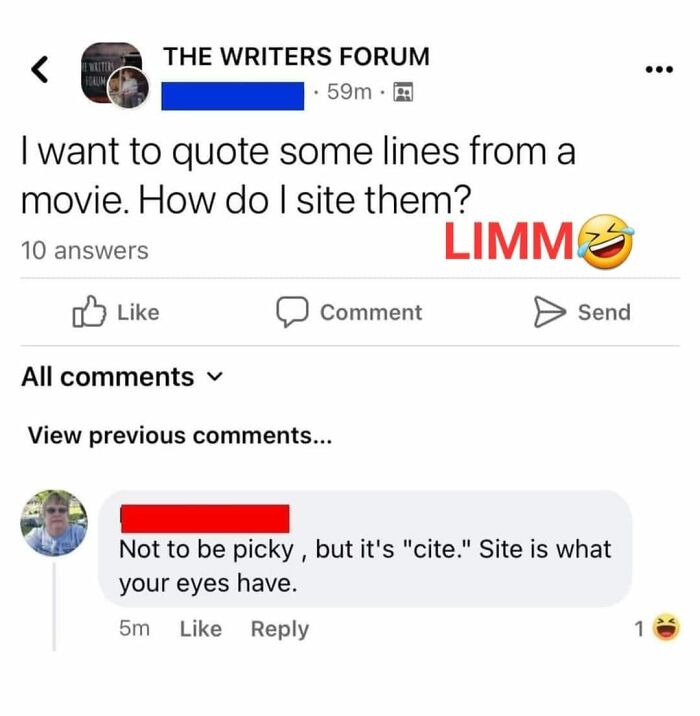 Screenshot of a humorous online forum post showing a failed attempt to correct a grammar mistake in a funny way.