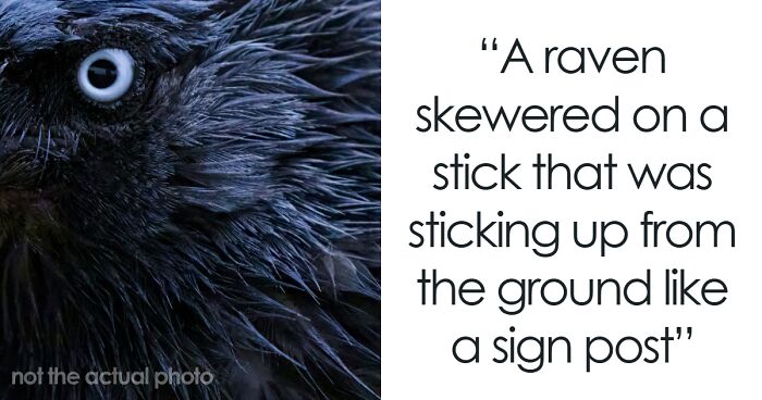 34 People Share The Scariest Experiences In The Woods They Can’t Explain