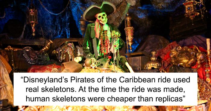 “No One Prepared Me For That”: 69 Disturbing Facts People Learned Against Their Will