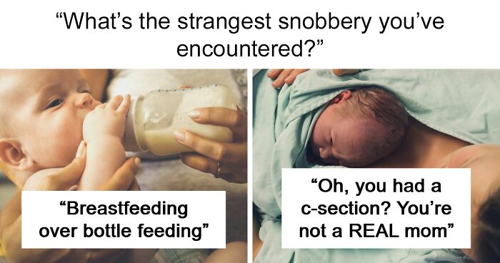 43 Folks Who Were So Snobbish, People Had To Shame Them Online