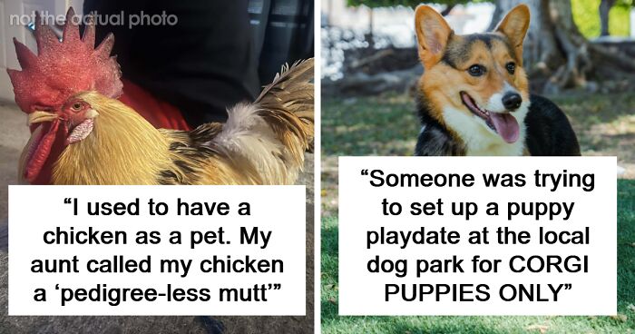 43 Folks Who Were So Snobbish, People Had To Shame Them Online