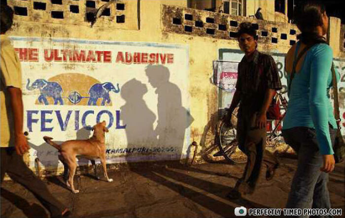 Shadows on a wall create a perfectly timed photo of a couple kissing while people and a dog walk nearby.