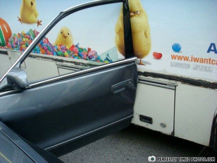 Car door perfectly aligned with cartoon chick images on a bus, showcasing a collection of perfectly timed photos.