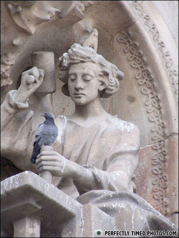 Stone statue holding a cup with a pigeon perched on its hand, an example of perfectly timed photos capturing unique moments.